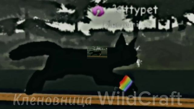 едит коты воители #роблокс смотреть онлайн