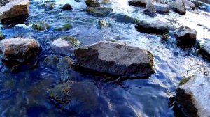 Вода Течет Между Камней. Футаж Вода Течет. Красивая Вода Между Камней Видео. Футажи для видеомонтаж