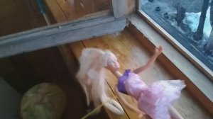 Парашют из старого зонта