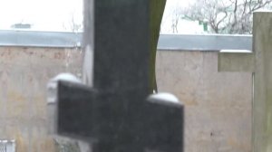 Новодевичий монастырь. Санкт-Петербург.