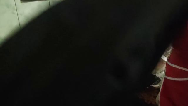 які плаття ? і спортивне ми собі прикупили смотреть онлайн