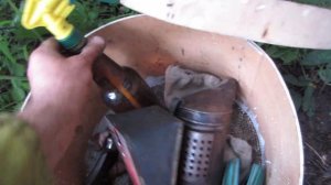 Пчеловодство.Чем и как можно снять рой привившийся под ловушкой с сотами. Азбука роелова.  #Shots