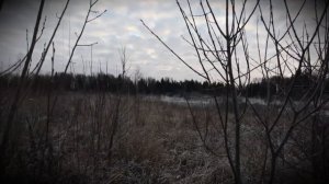 Казачья песня "Шли казаки", исполняет ансамбль "Солнцеворот"