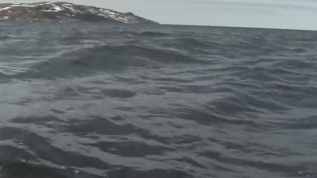 риб альбатрос 390 смотреть онлайн