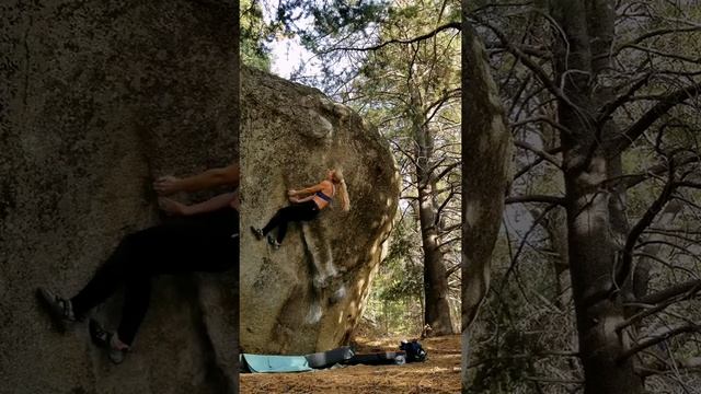 Fly Birdie (V5) - Shorty Beta