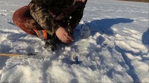 ВОЛЧИХИНСКОЕ ВДХР. ЖЕРЛИЦЫ . СУДАК. ЩУКА.