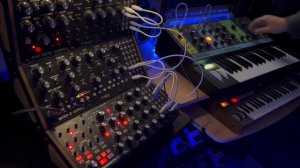 Moog Jam C - Subharmonicon, Mother 32, DFAM, GrandMother