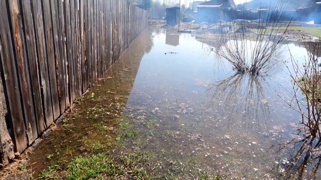 Подтопление огорода,речка вышла из берегов.