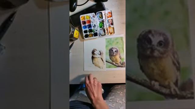 Совушка