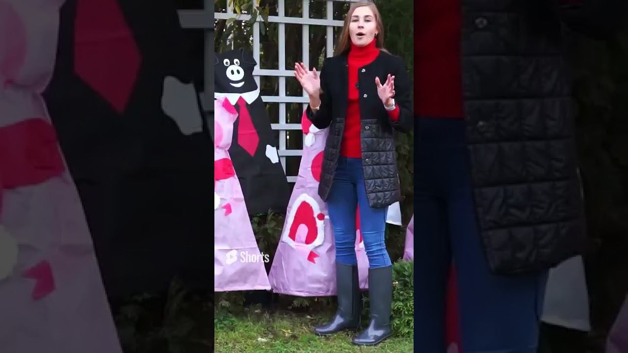 Укрытие растений на зиму - декоративные колпаки