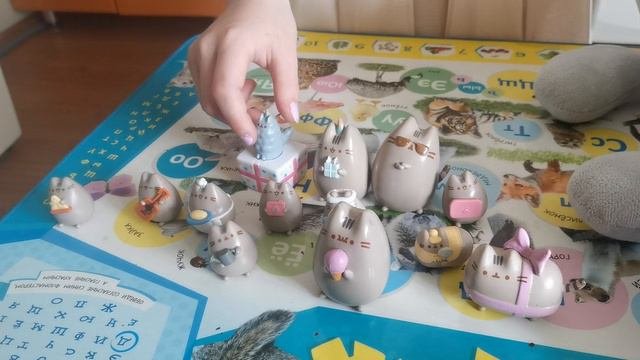 Мои домашние