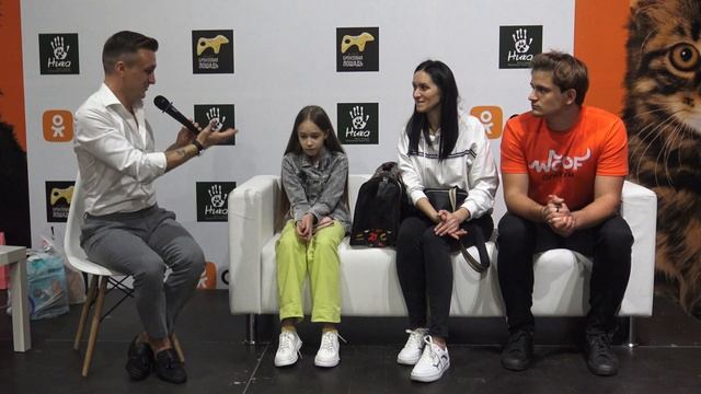 В Краснодаре прошёл фестиваль бездомных животных Более 100 кошек и собак получили шанс найти хозяев смотреть онлайн