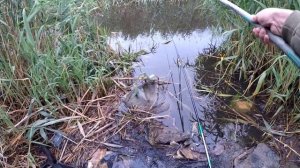 Ловля Карася на поплавочную удочку на канале  в ИЮНЕ 2023 Активный Клёв #рыбалканапоплавок #карась