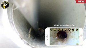 Using the Ferret Plus Wireless Inspection Camera