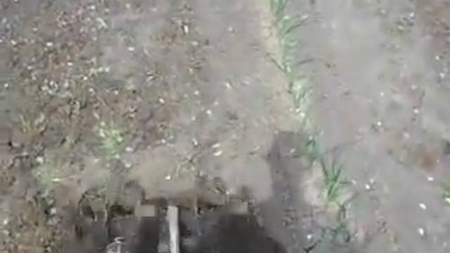 Работа электрокультиватора.