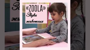 Zoola. Звуки животных