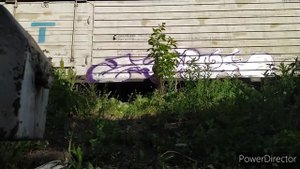 граффити на товарных поездах