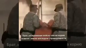 БРАТ, ТЫ СВОБОДЕН - НАШИД #нашид #свобода #тьюрма #ислам