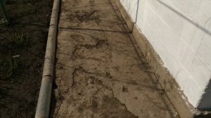 Бюджетная бетонная стяжка во дворе. Состояние спустя год