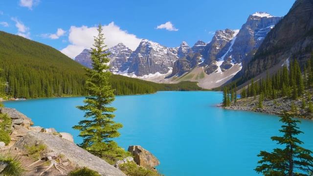 Звуки природы, шум леса, пение птиц - пение птиц, Звуки Леса, для релаксации, сна, Медитации, Relax смотреть онлайн