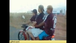 Лисопед!! Наталия Фалион ...прикольн