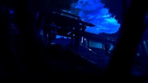 「AMV」- Я Видел Страх В Чужих Глазах