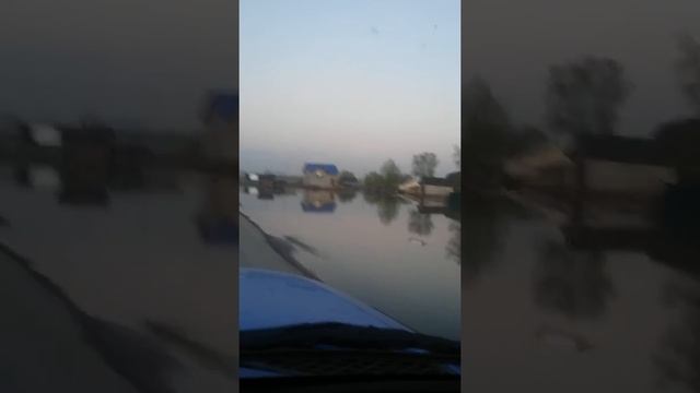 Барнаул Затон 2015 год. Fj Cruiser плавает на работу и с работы. смотреть онлайн