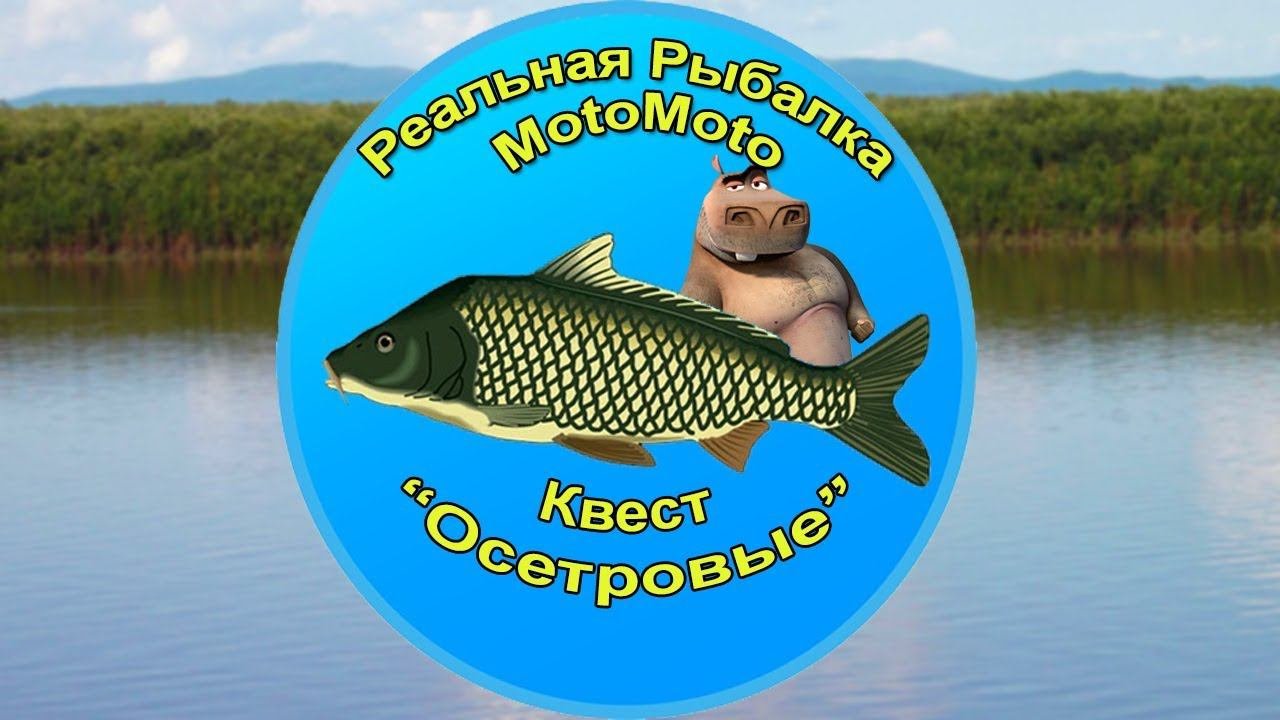 Квест 