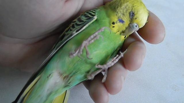 Умирает на руках 2 смотреть онлайн