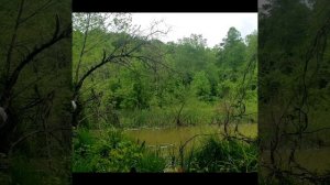 2 Day Kayak/Hammock Camp in Rain Storm.