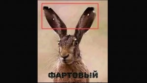 сварка