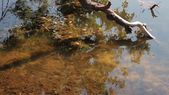 Памяти моего друга и коллеги. смотреть онлайн