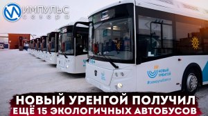 Новый Уренгой получил ещё 15 экологичных автобусов