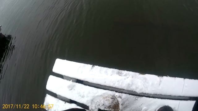 Форель на платнике в Дурнихе Закрытие сезона 2017