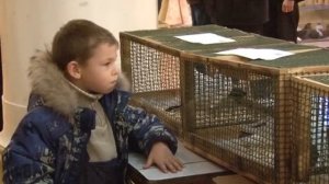 U74.RU: В Кусе выбрали самых лучших голубей Челябинской области