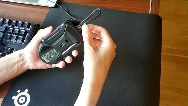 SteelSeries Rival 600 ОБЗОР и коврик SteelSeries QcK+ смотреть онлайн
