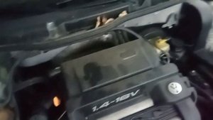 Разборка Volkswagen - Golf 4 1997-2005, 1.4 (VIN: WVWZZZ1JZWP029782) 26803