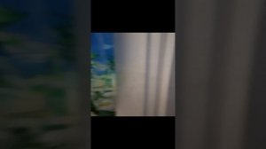 20230818_170708.mp4