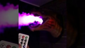 голова дракона#интересное#лучшее#новинки