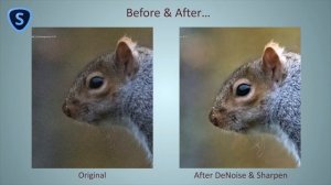 Topaz Labs Products - review & samples