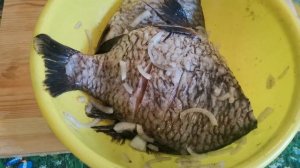 Карась в сметане, запечённый в духовке, как избавить рыбу от неприятного запаха тины