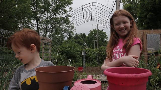 Growing Moon and Stars Watermelon смотреть онлайн