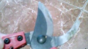 Садовый секатор обзор.Садовый секатор дешевый.Секатор для обрезки малины