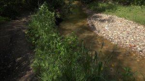 Прогулка вдоль реки Котловка, Москва