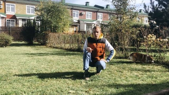 Описание породы Корги. Кинолог Павел Полижаевский. смотреть онлайн