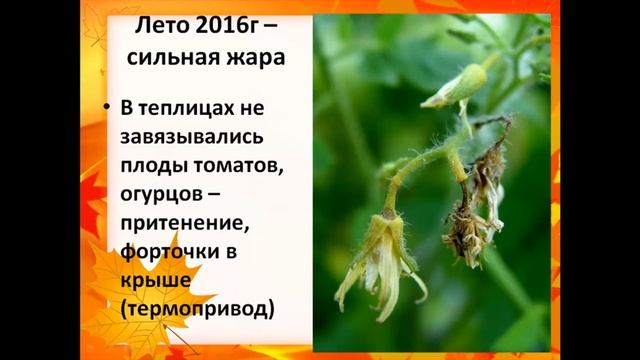 Семинар: Подготовка участка к зиме. Работа над ошибками огородников за сезон 2016г.