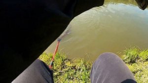 ловля форели на платнике в МСК