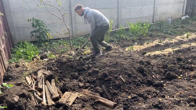Сегодня мы сделали много дел. На цоколь прикрепили сетку. Квашеные зеленые помидоры.