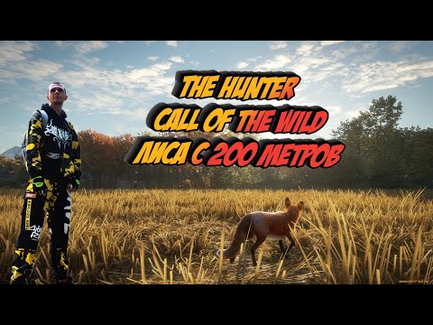 The hunter_ Call of the Wild Зоммер_Добыть Лису с 200 метров.mp4