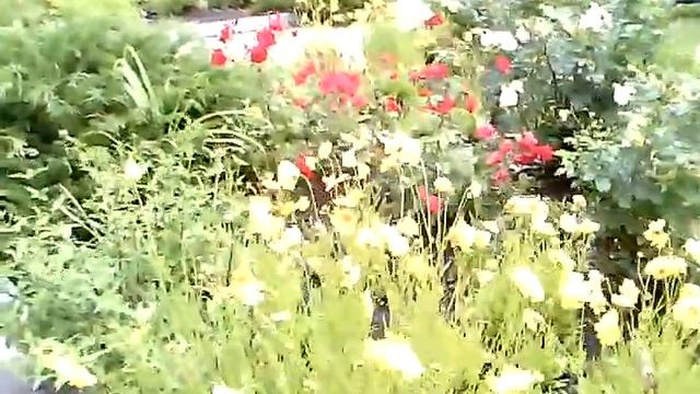 Flowerbed 1 (Клумба 1)
